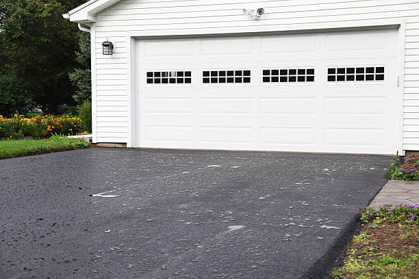 Best Attic Cleanout  in Baudette, MN